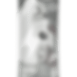 Alternative view of GoSip Kiwi Berry